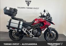 Triumph Tiger 1200 GT Pro (2024 - 25) usata