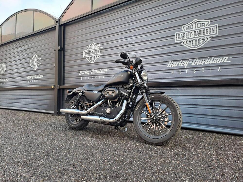 Harley-Davidson 883 Iron (2012 - 14) - XL 883N (2)