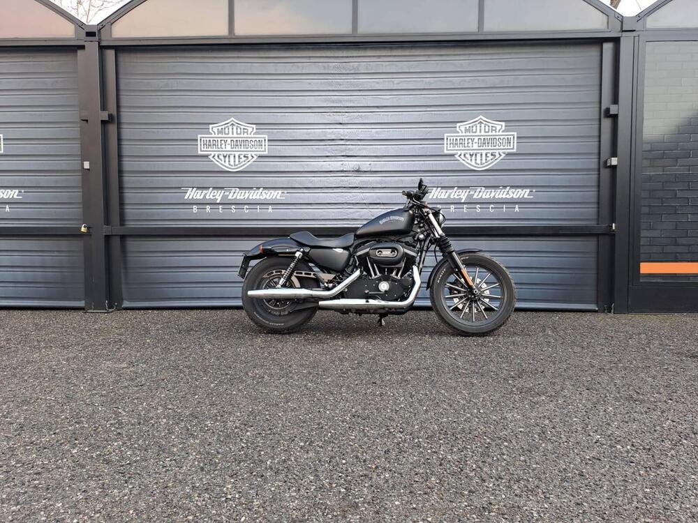 Harley-Davidson 883 Iron (2012 - 14) - XL 883N