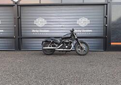 Harley-Davidson 883 Iron (2012 - 14) - XL 883N usata