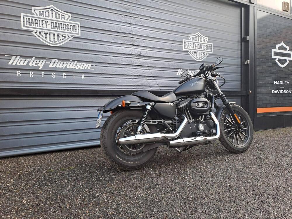 Harley-Davidson 883 Iron (2012 - 14) - XL 883N (3)