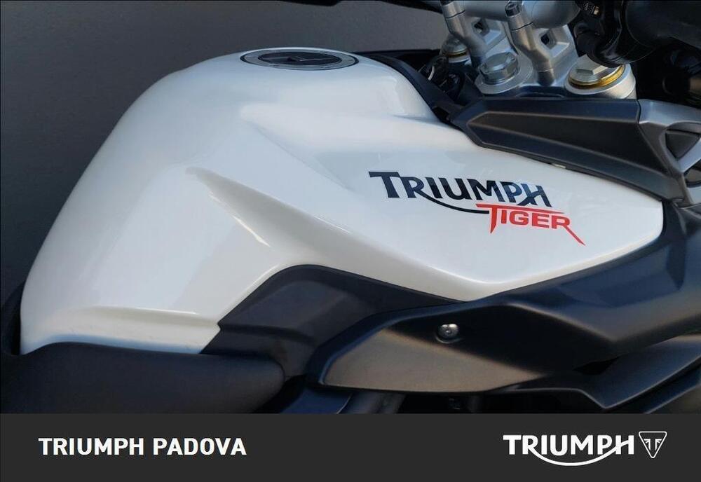 Triumph Tiger 800 ABS (2010 - 14) (4)