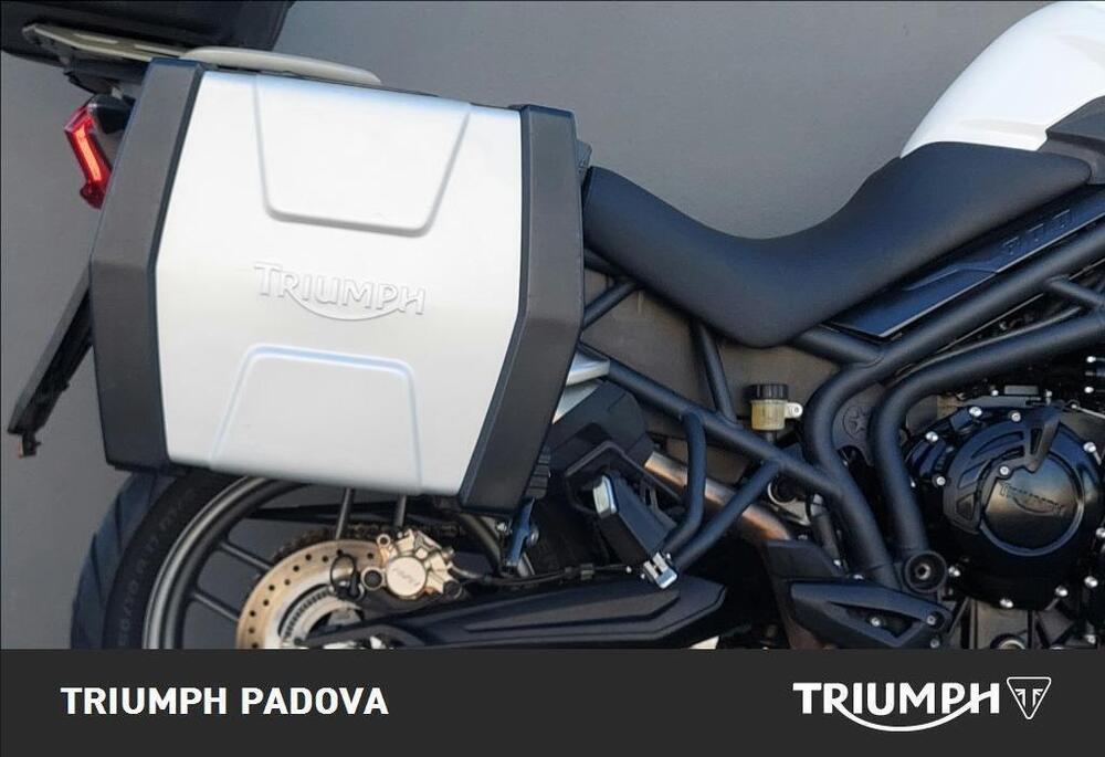 Triumph Tiger 800 ABS (2010 - 14) (2)