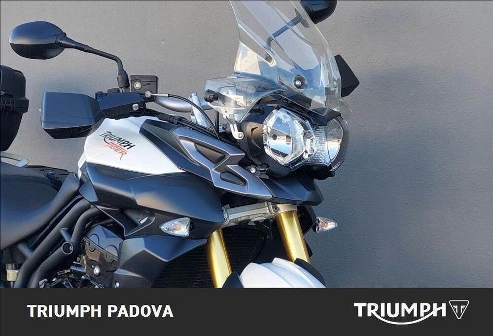 Triumph Tiger 800 ABS (2010 - 14) (5)