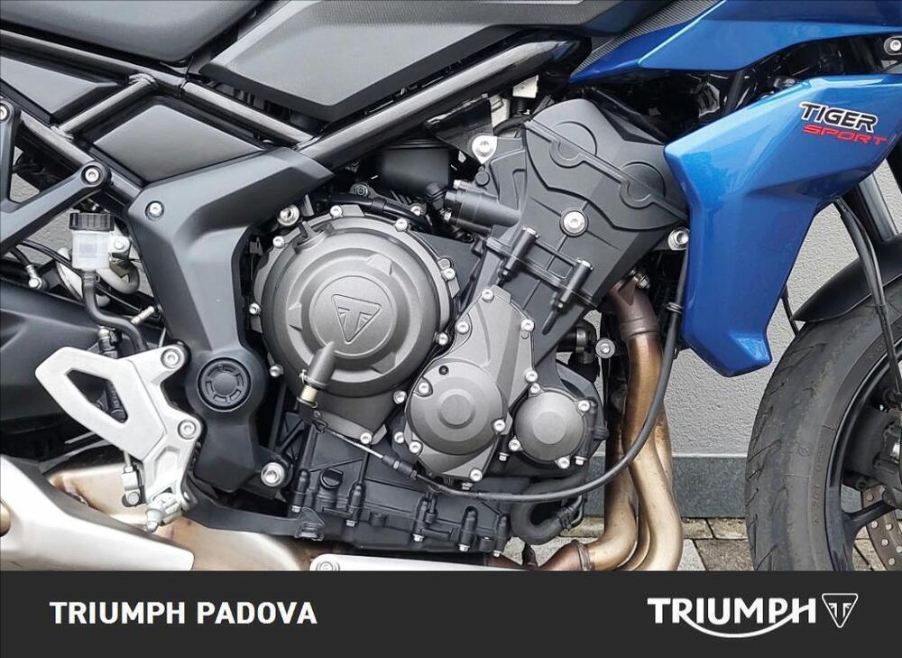 Triumph Tiger Sport 660 (2022 - 24) (3)