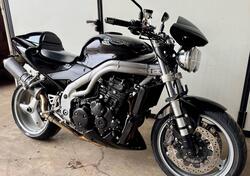 Triumph Speed Triple 955 (2002 - 04) usata