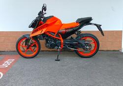 KTM 390 Duke (2024 - 25) usata