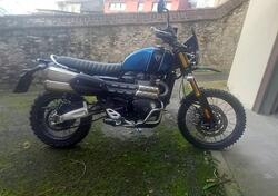 Triumph Scrambler 1200 XE (2019 - 20) usata