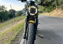 Ducati Scrambler 800 Icon (2023 - 25) usata