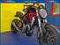 Ducati Monster 1200 (2014 - 16) (14)