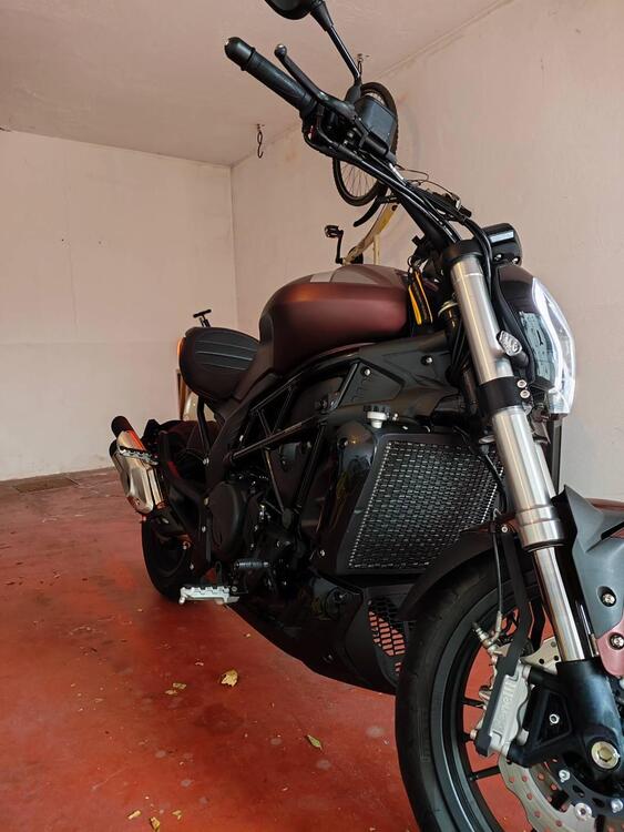 Benelli 502 C (2019 - 20) (2)