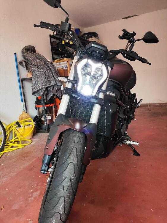 Benelli 502 C (2019 - 20) (3)