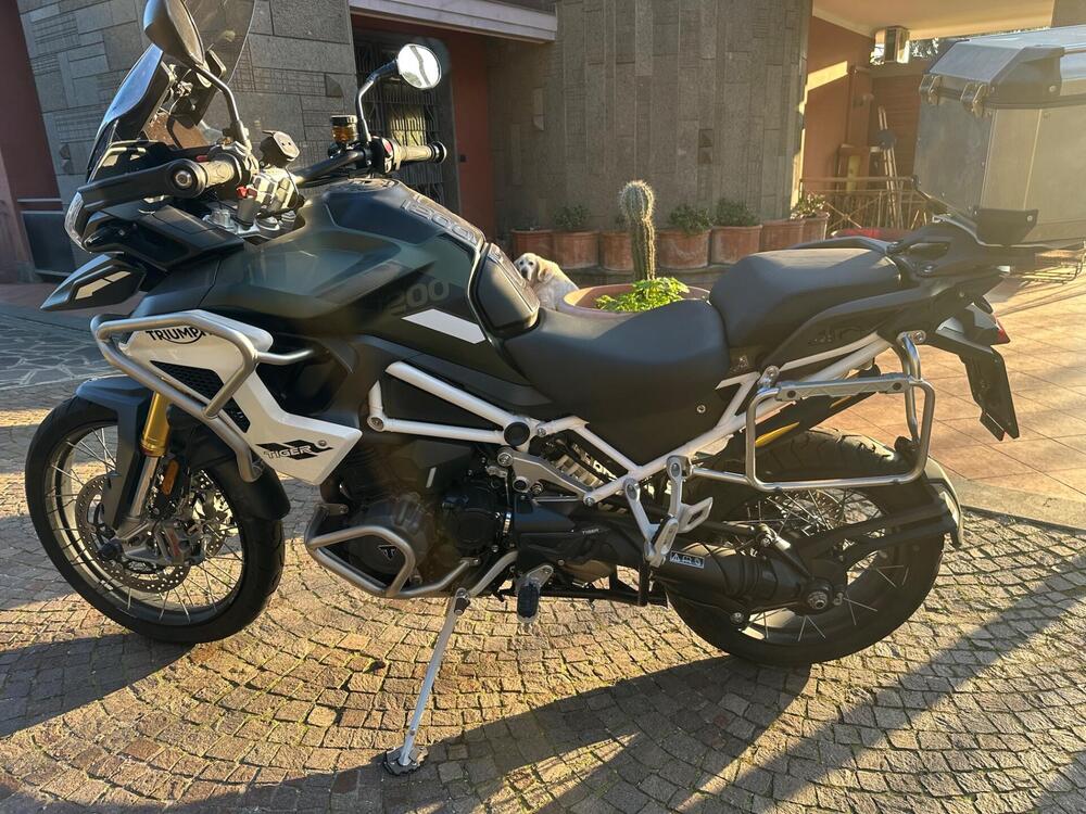 Triumph Tiger 1200 Rally Pro (2022 - 23) (3)