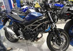 Suzuki SV650 (2021 - 25) nuova