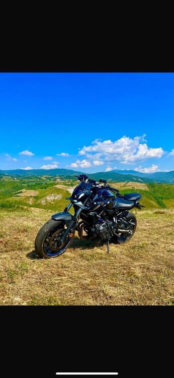 Yamaha MT-07 Pure (2023 - 25) (2)