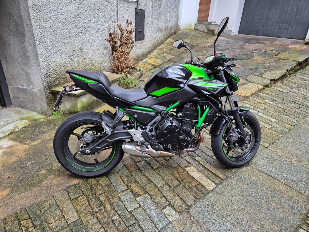 Kawasaki Z 650 (2021 - 24)