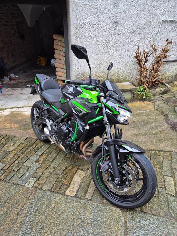 Kawasaki Z 650 (2021 - 24) (3)