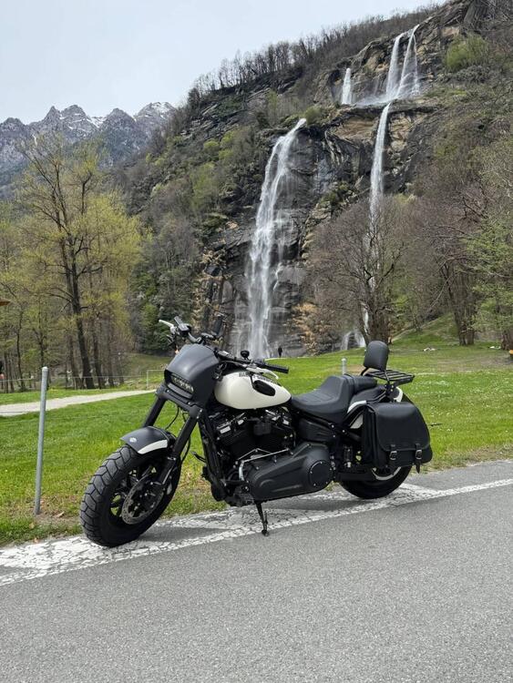 Harley-Davidson 114 Fat Bob (2018 - 20) - FXFBS