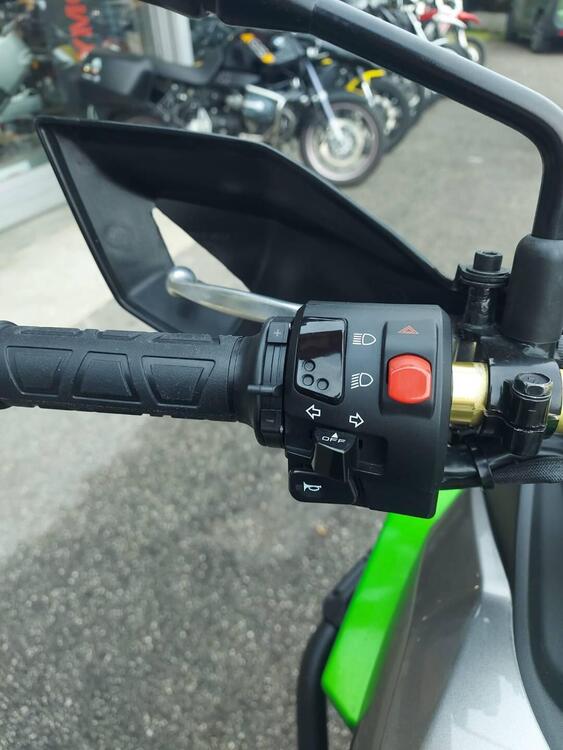 Kawasaki Versys-X 300 Urban (2017 - 19) (5)