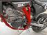 Betamotor RR 125 4T Motard LC (2021 - 23) (7)