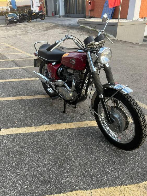 Bsa BSA A65 Firebird Scrambler (3)