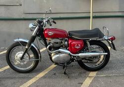 Bsa BSA A65 Firebird Scrambler d'epoca