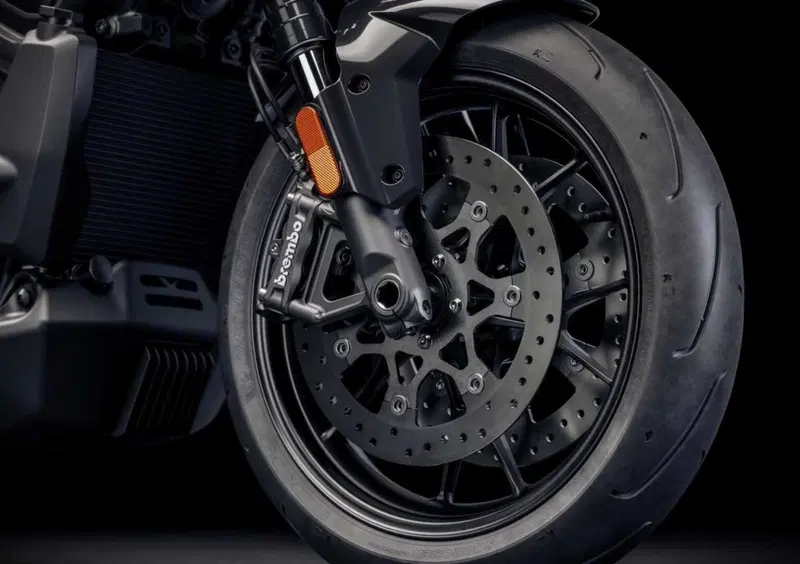 Harley-Davidson Adventure Touring Pan America 1250 ST (2025 - 26) (7)