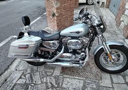 Harley-Davidson 1200 Custom (2007 - 13) - XL 1200C usata