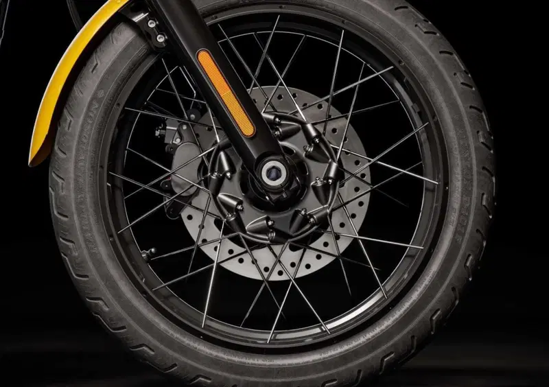 Harley-Davidson Softail-Cruiser Street Bob 117 (2025 - 26) (11)