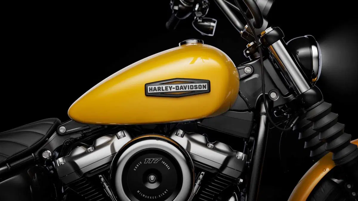Harley-Davidson Softail-Cruiser Street Bob 117 (2025 - 26) (6)