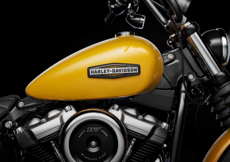 Harley-Davidson Softail-Cruiser Street Bob 117 (2025 - 26) (6)