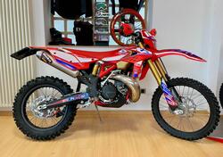 Betamotor RR 300 2T Enduro (2016) usata