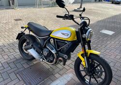 Ducati Scrambler 800 Icon (2017 - 20) usata