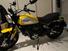 Ducati Scrambler 800 Icon (2017 - 20) (6)