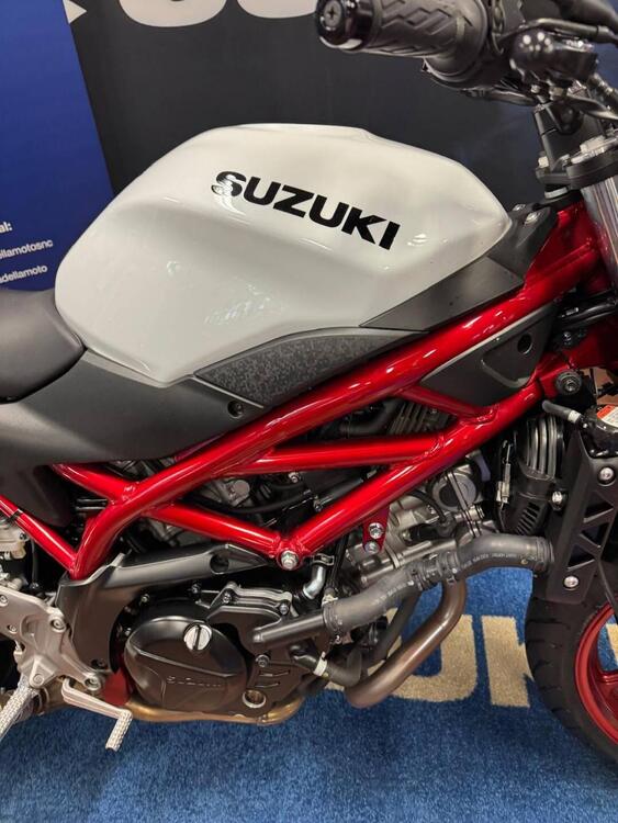 Suzuki SV650 (2021 - 25) (3)