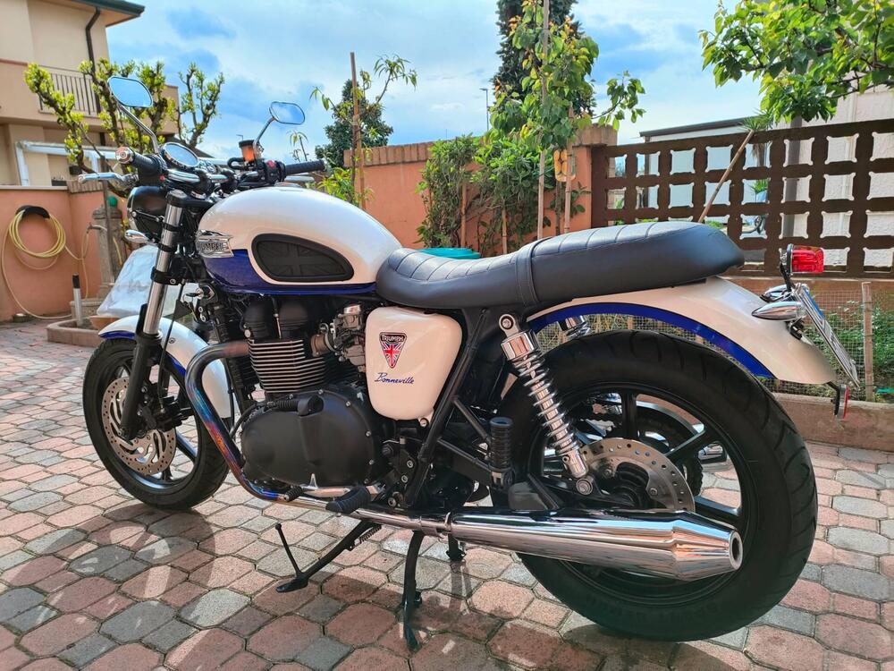 Triumph Bonneville SE (2009 - 13) (3)