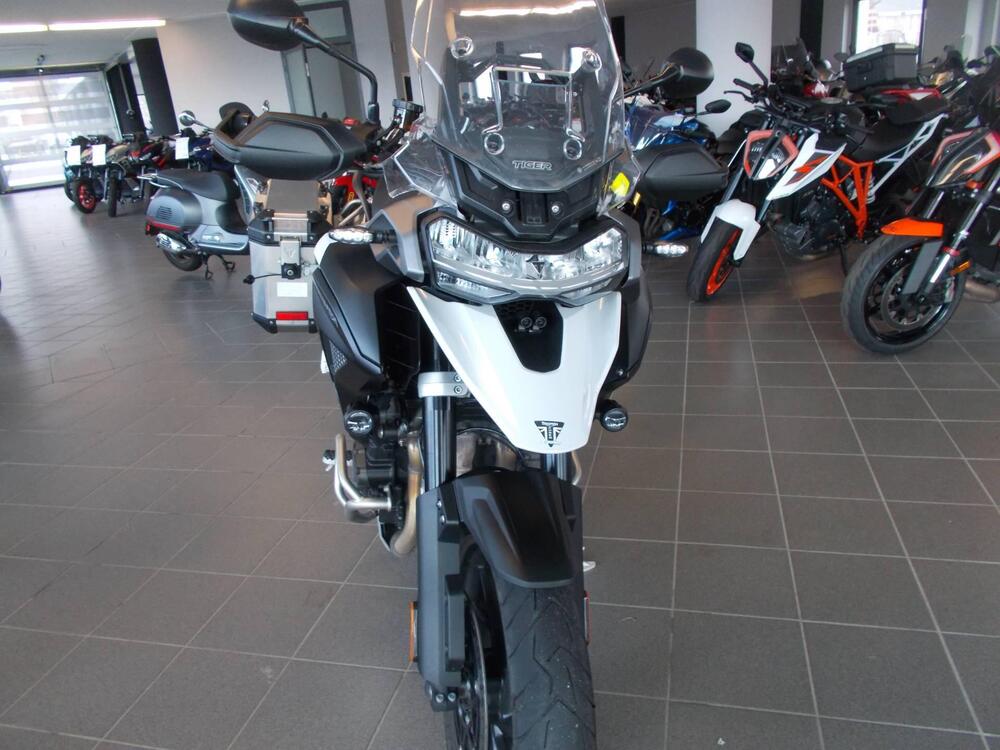 Triumph Tiger 1200 GT Pro (2022 - 23) (2)