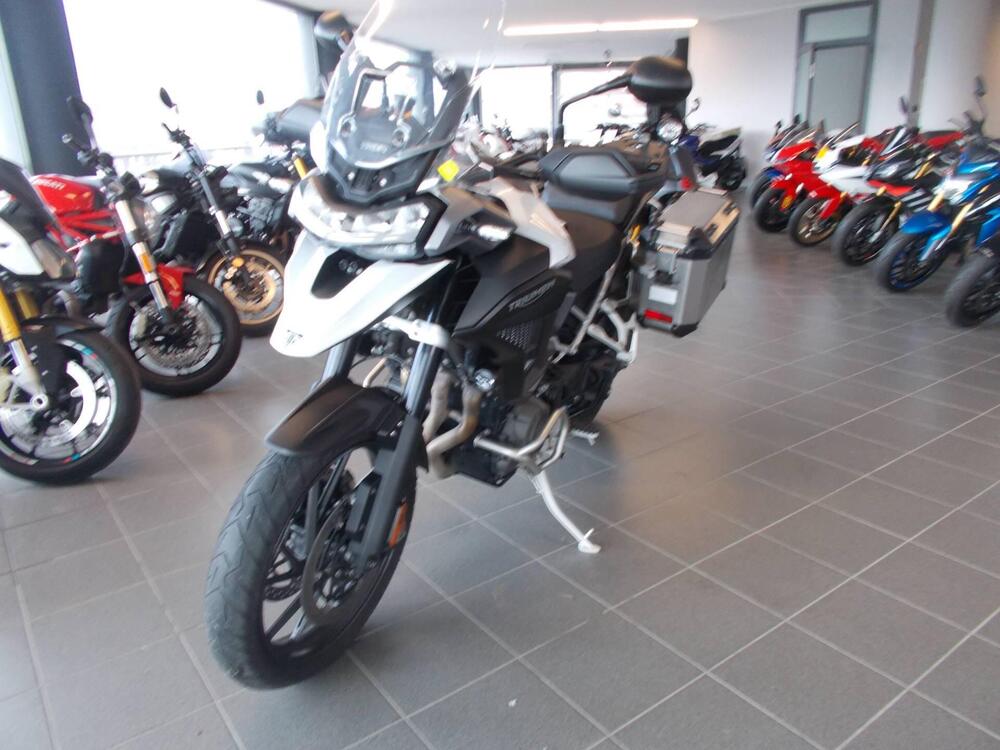 Triumph Tiger 1200 GT Pro (2022 - 23) (3)