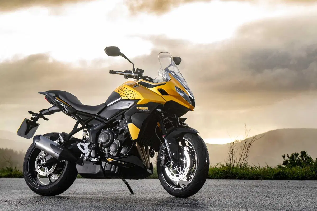 Triumph Tiger Sport 800: Sportiva per diletto (19)