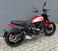 Ducati Scrambler 800 Icon (2021 - 22) (8)