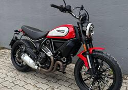 Ducati Scrambler 800 Icon (2021 - 22) usata