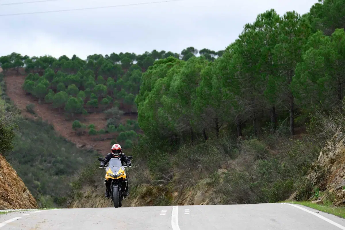 Triumph Tiger Sport 800: Sportiva per diletto (34)