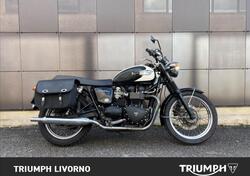 Triumph Bonneville T100 (2008 - 16) usata