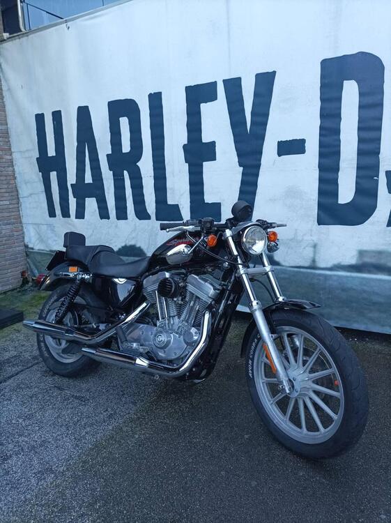 Harley-Davidson 883 Standard (2001 - 05) - XL 883 (2)