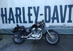 Harley-Davidson 883 Standard (2001 - 05) - XL 883 usata