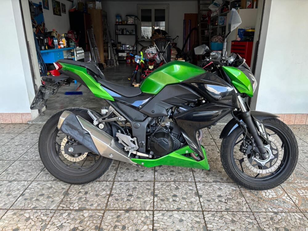 Kawasaki Z 300 ABS (2015 - 16)