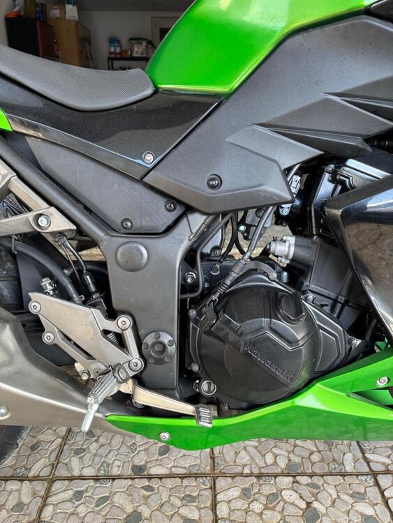 Kawasaki Z 300 ABS (2015 - 16) (2)