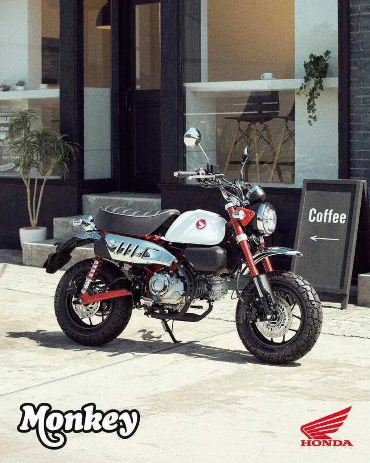 Nuovi colori e Euro 5+ per gli Honda Dax, Monkey e Super Cub C125