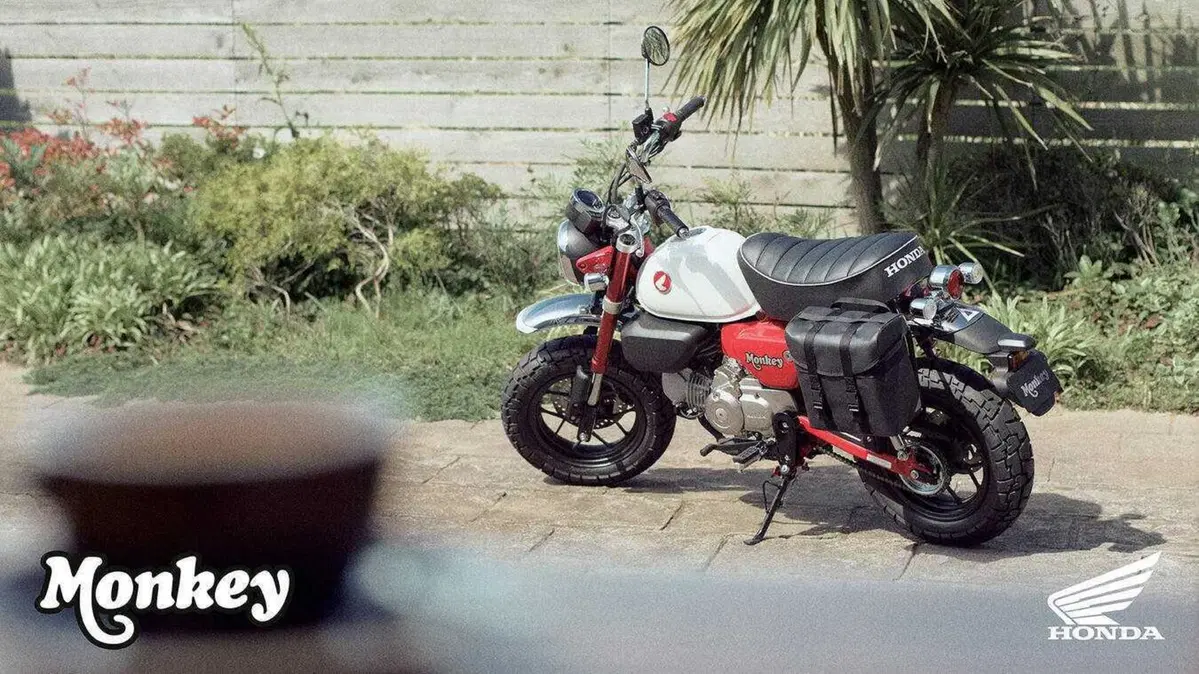 Nuovi colori e Euro 5+ per gli Honda Dax, Monkey e Super Cub C125 (2)