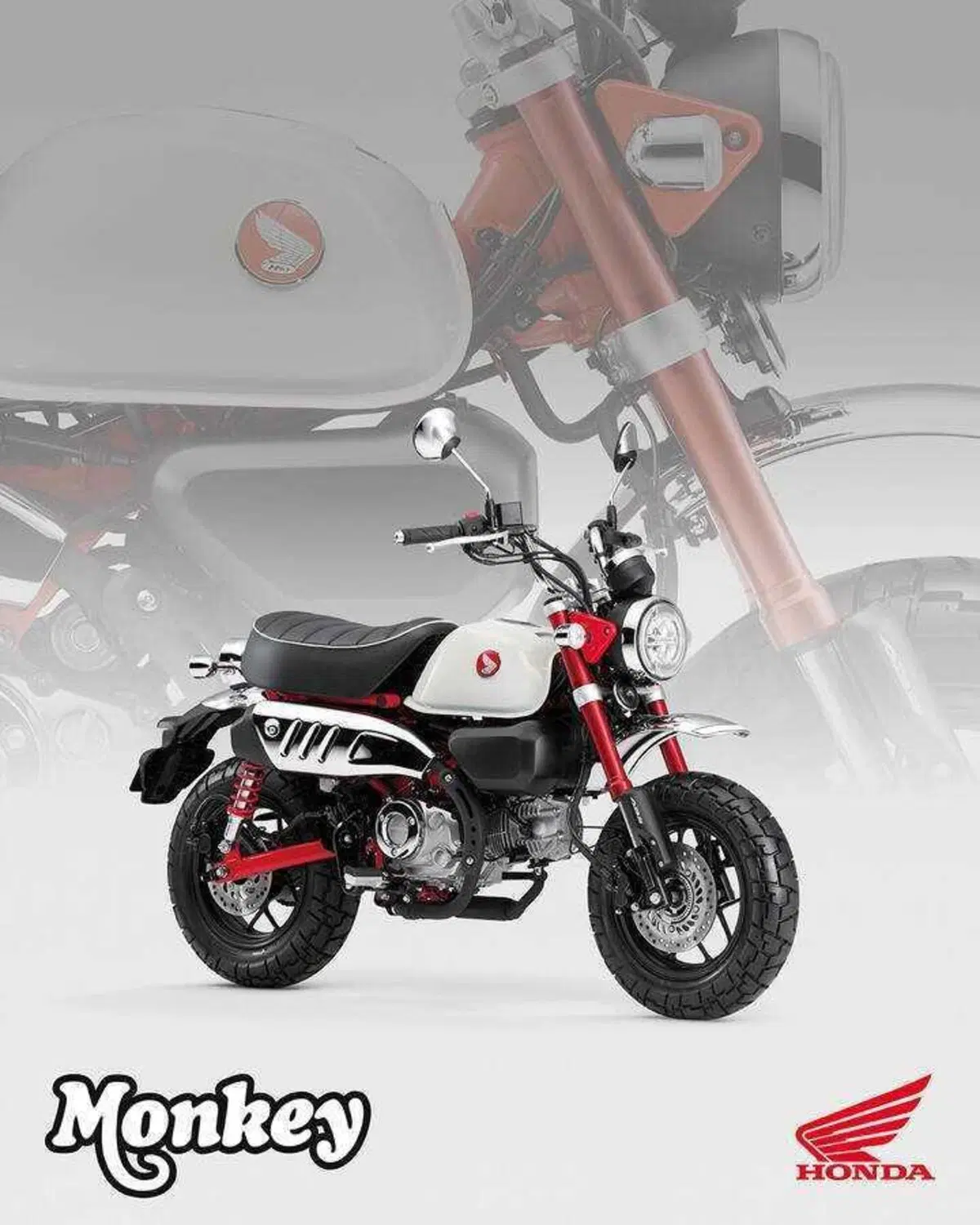 Nuovi colori e Euro 5+ per gli Honda Dax, Monkey e Super Cub C125 (3)